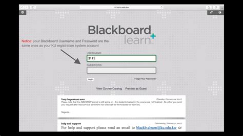 entrar no blackboard.